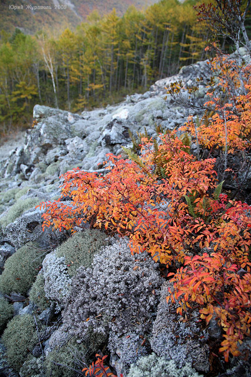 Приморье. Тернейский район