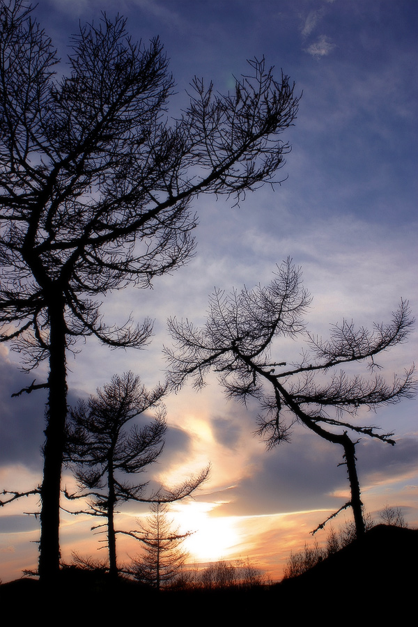 Я пригласить хочу на танец вас, и только вас..