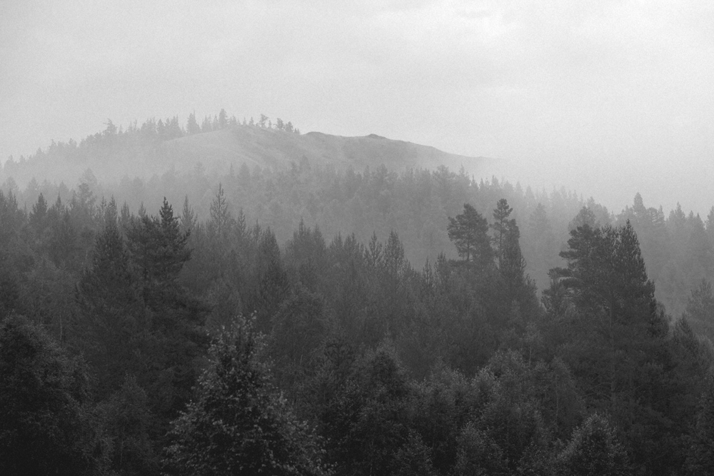 За туманами...