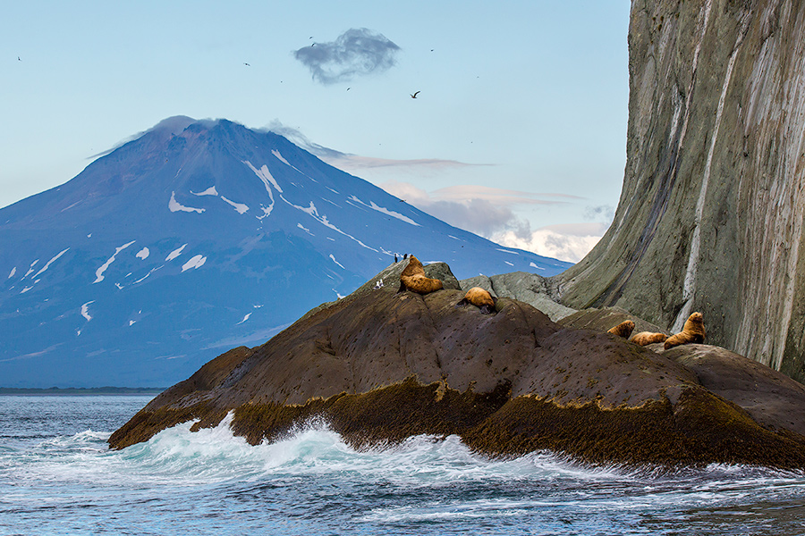 На стопе великана