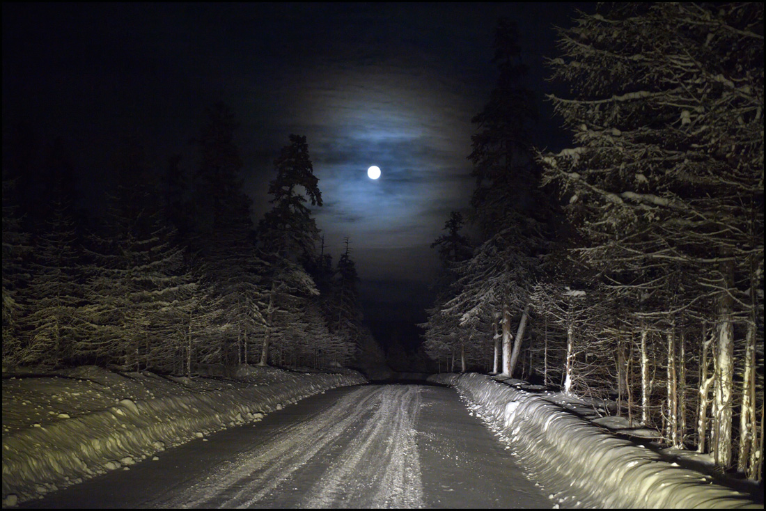 К дебрям сказочной тайги...