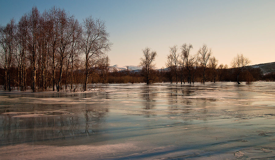 Весенняя ...