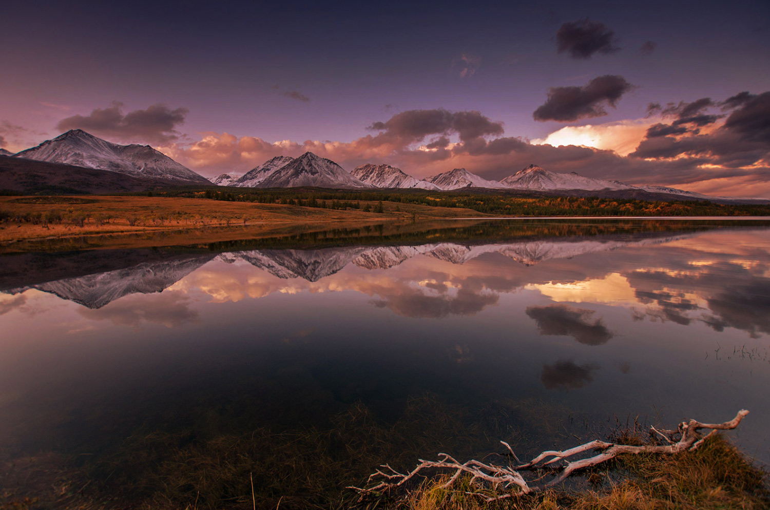 озеро Шара нуур.