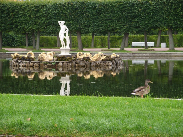 Прогулка по Петергофу