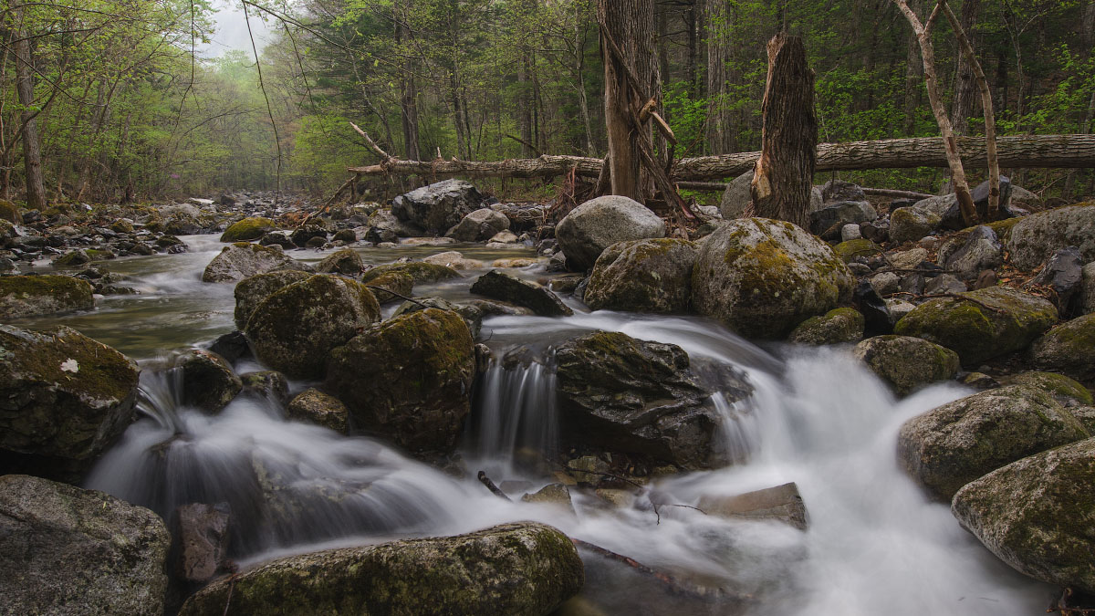 Таежный ключ.Весна.