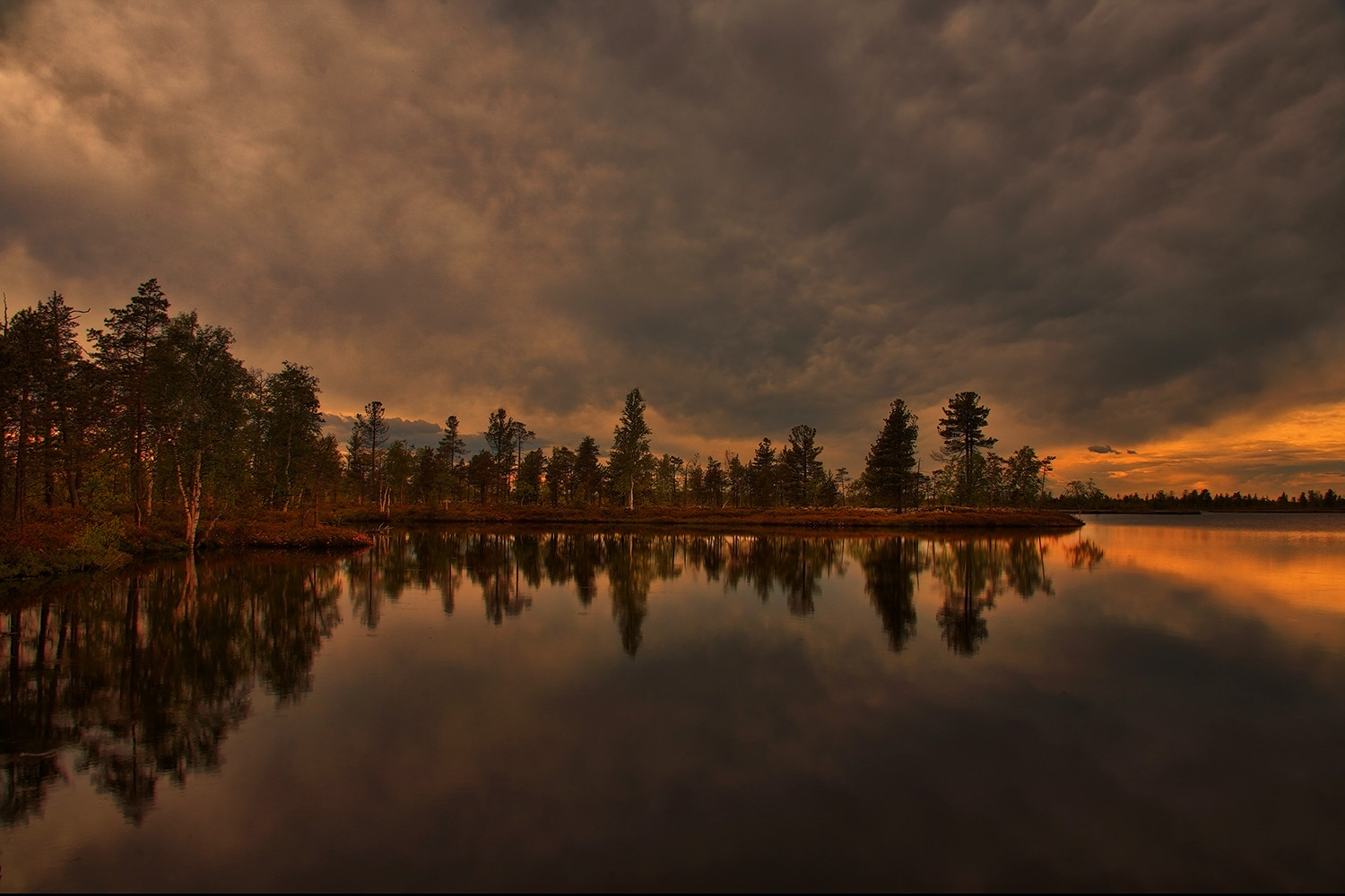..."вершина" Большого Югана (Большое Васюганское болото)