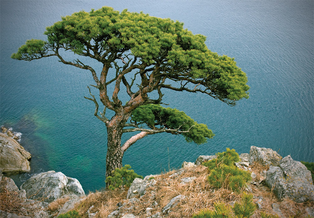 на м. Гамова тфа