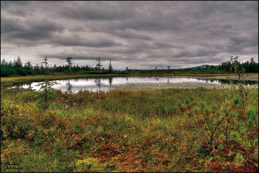 Озеро Пепельное