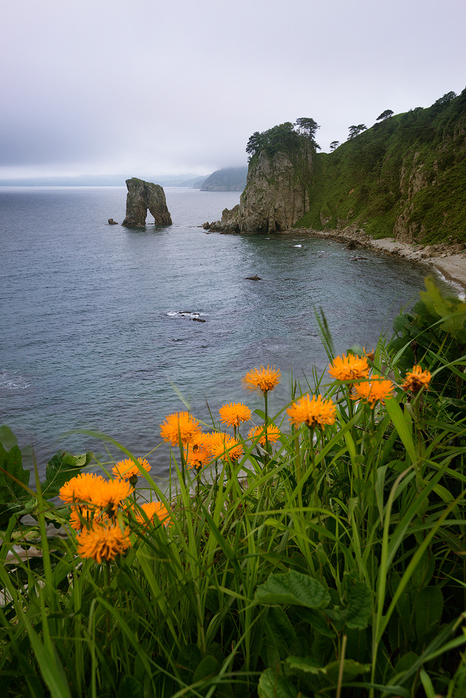 Непогодная погода