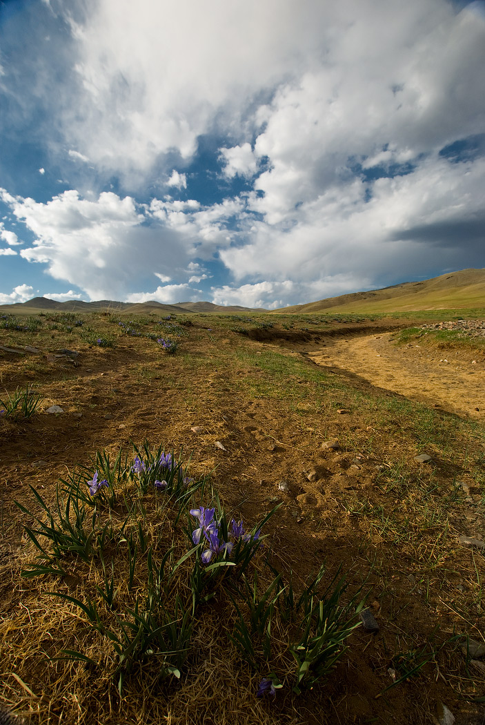 у сухого ручья