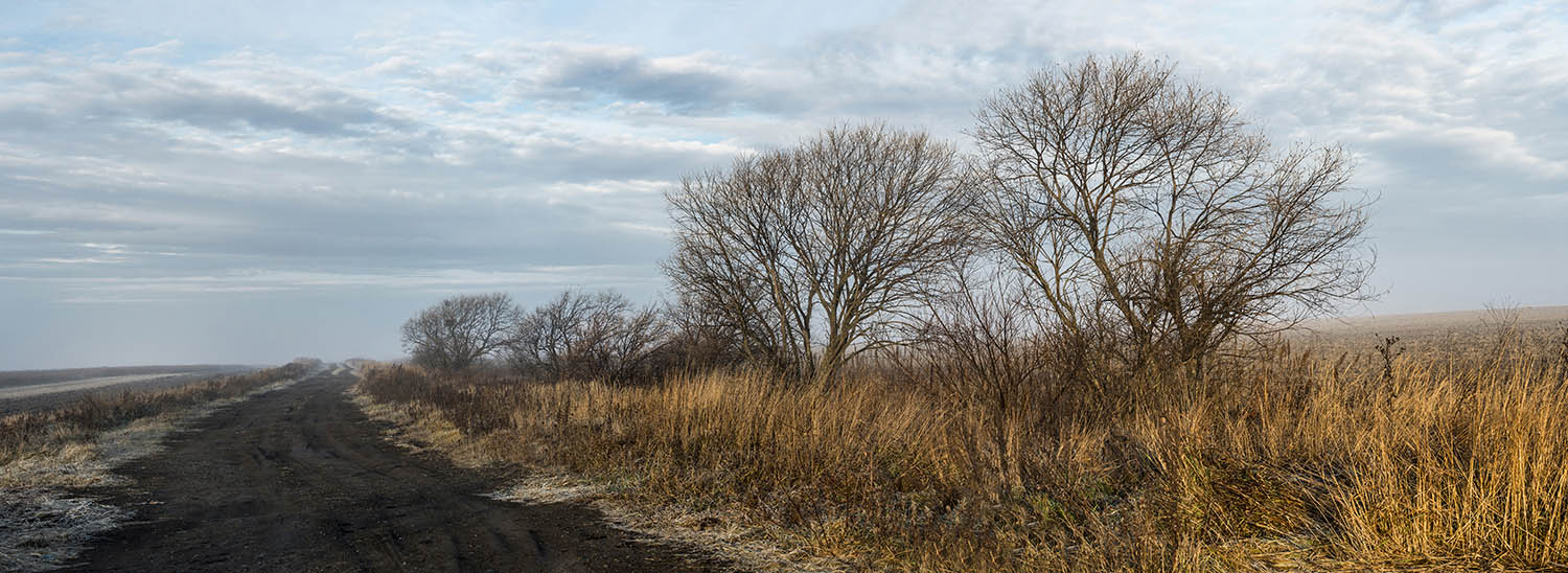 Поздняя осень