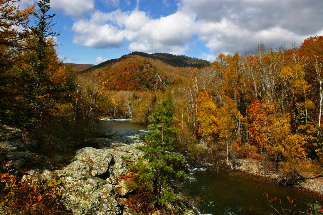 Царство осени