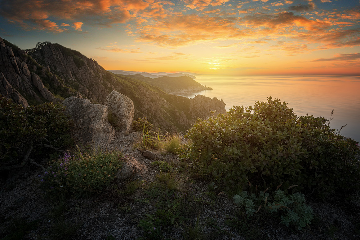 м. Лисученко