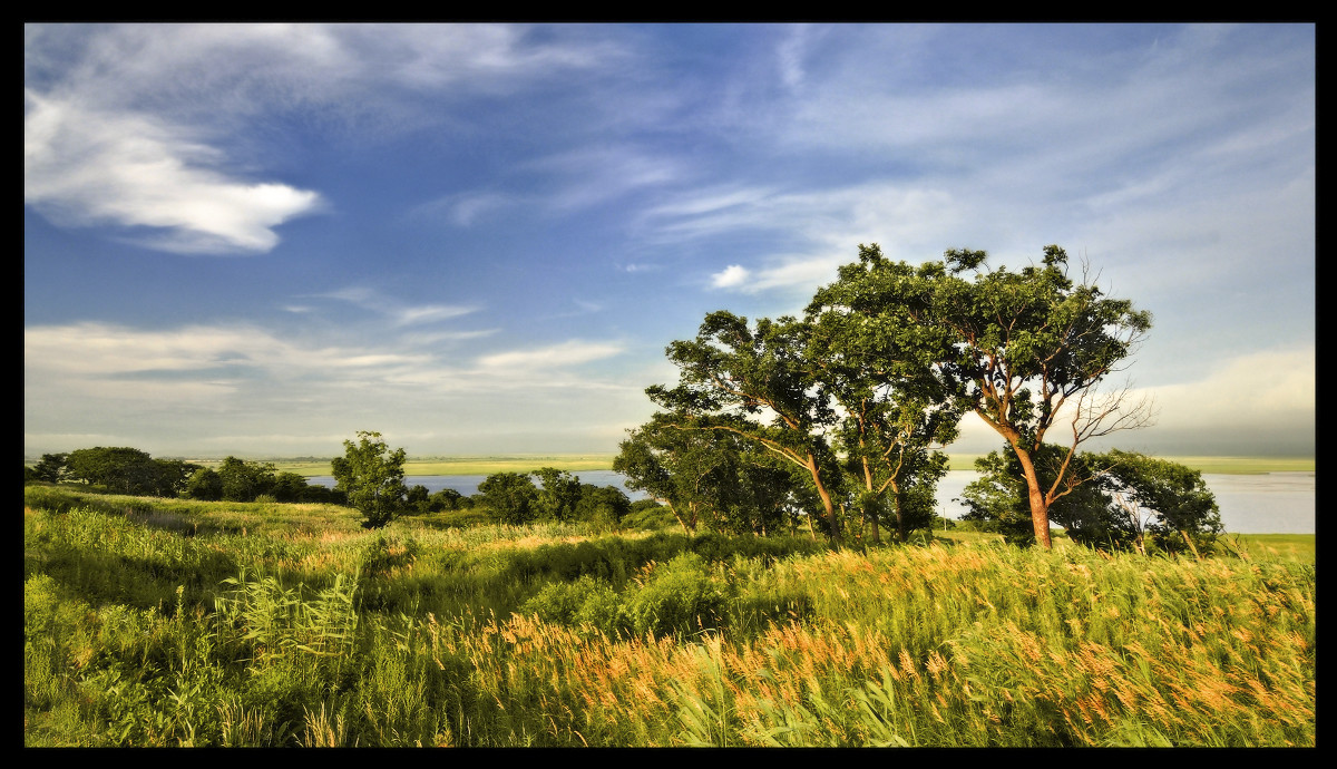 Слушая ветер.