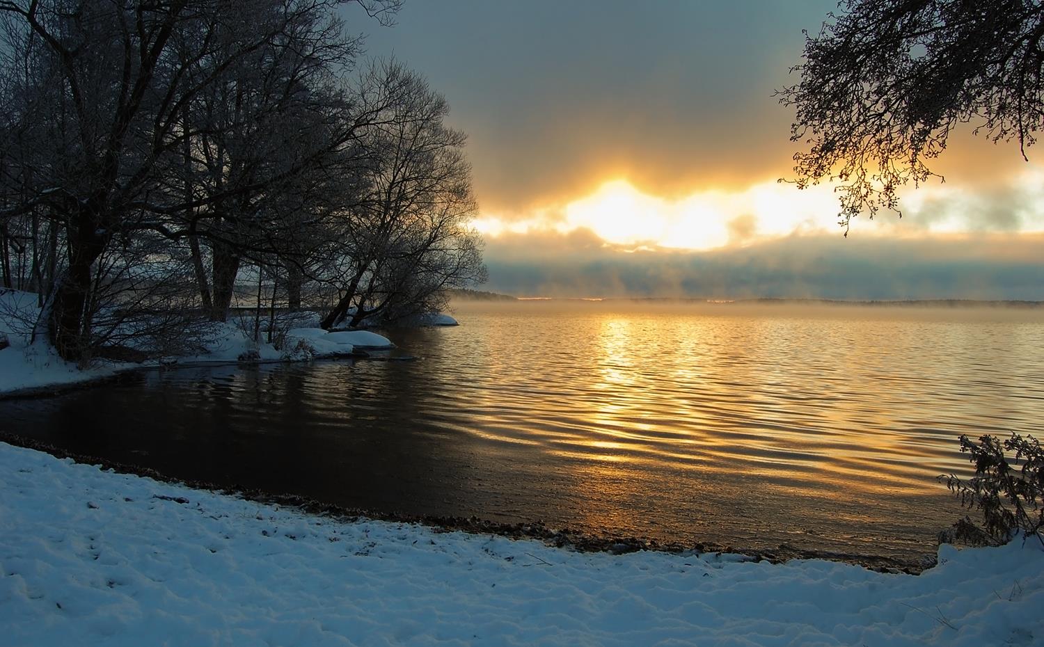 Туман в декабре