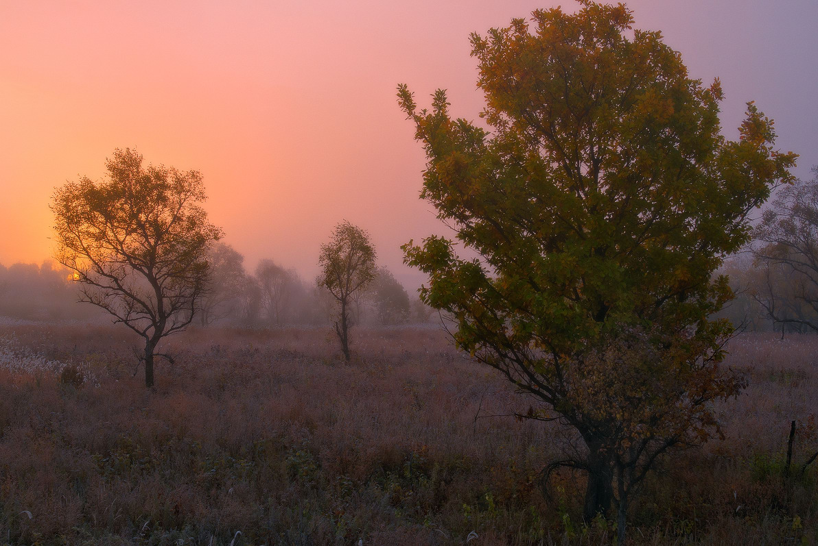 Туманное утро.