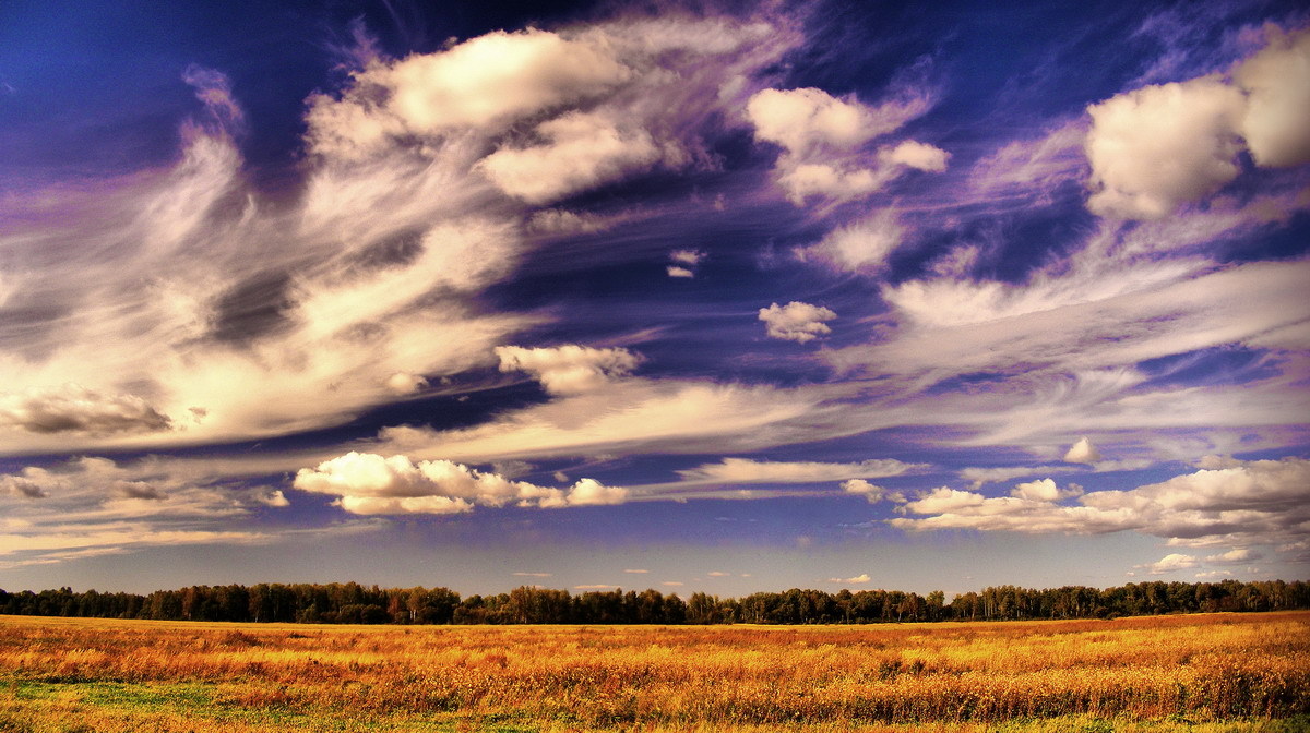 под Хабаровском ...