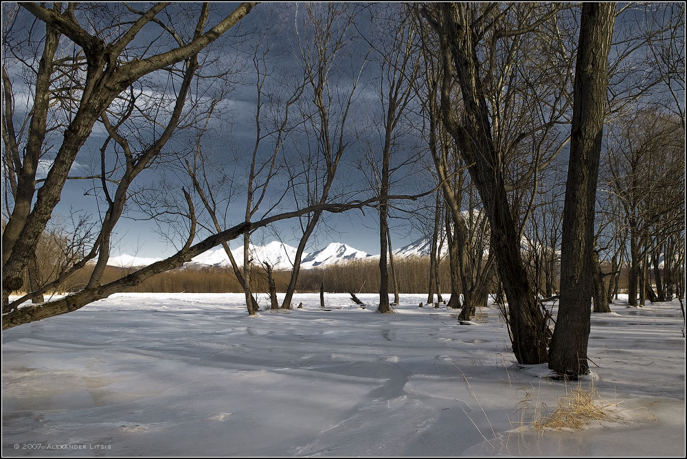 По заснеженному половодью