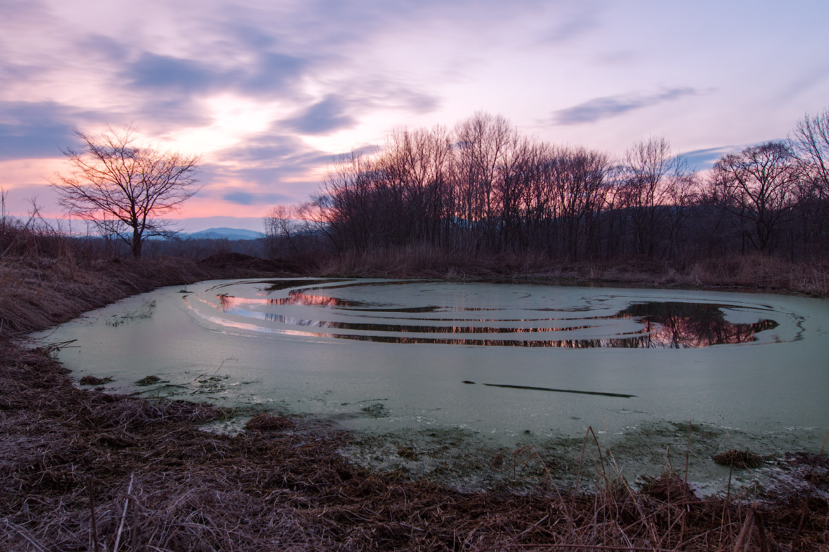 Сумеречное болото.