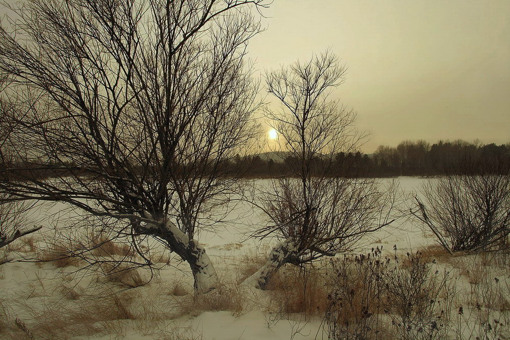 Короткий вечер января