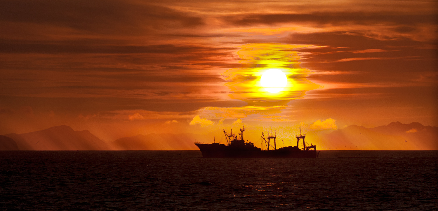 Вечерняя зорька