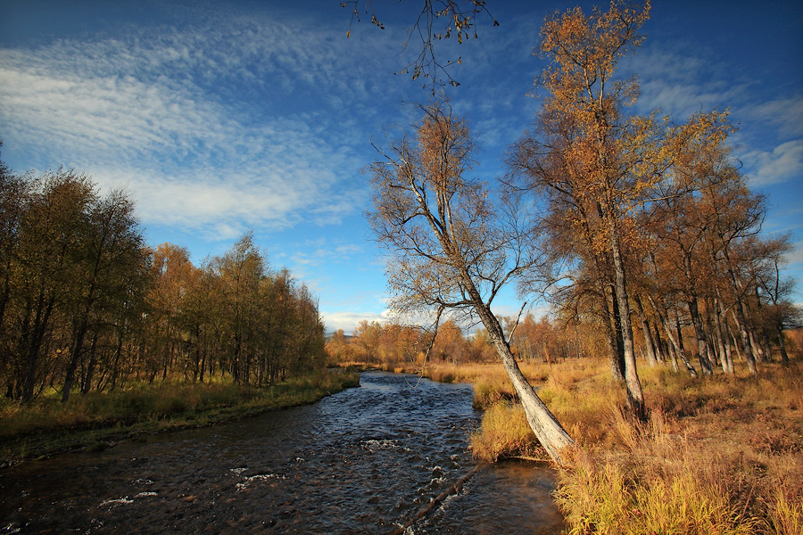 ...вечер на реке
