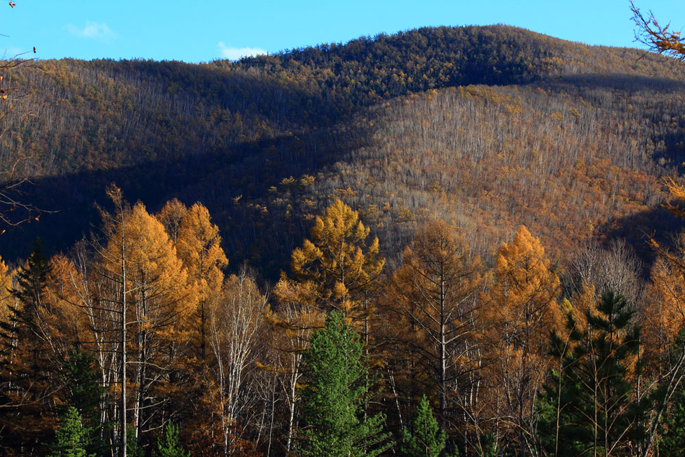 осенние сопки