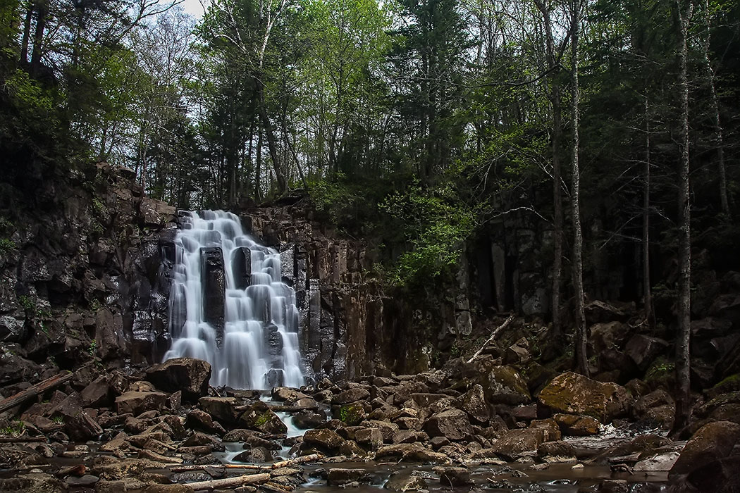 Вод. Горбатый весной