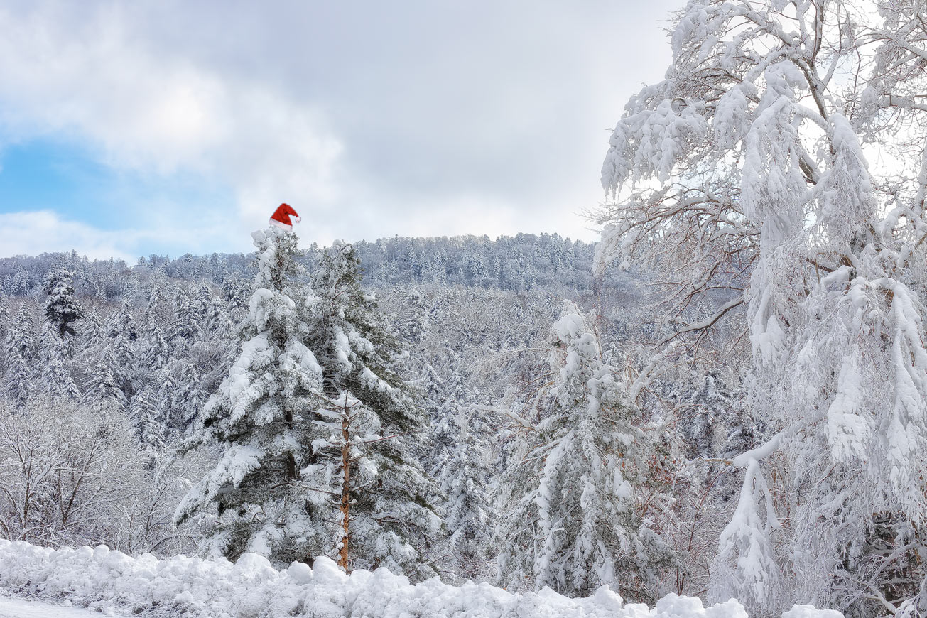 С Новым Годом!