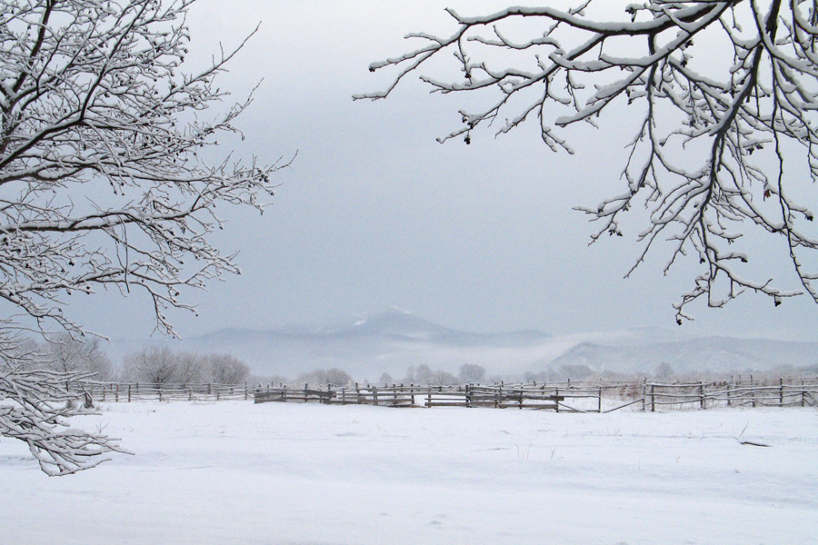 этюд в белых тонах