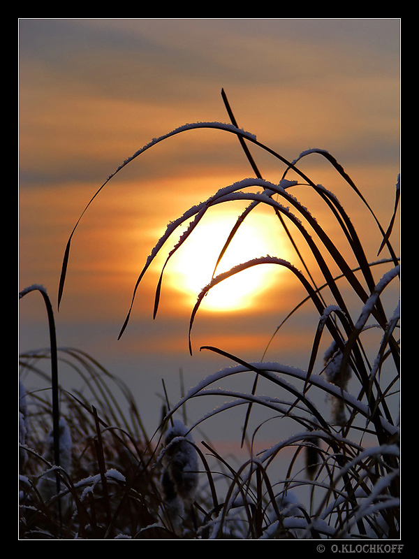 СОГРЕВАЯ ЗИМУ