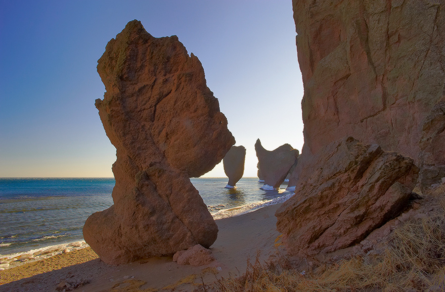 Каменные грибы