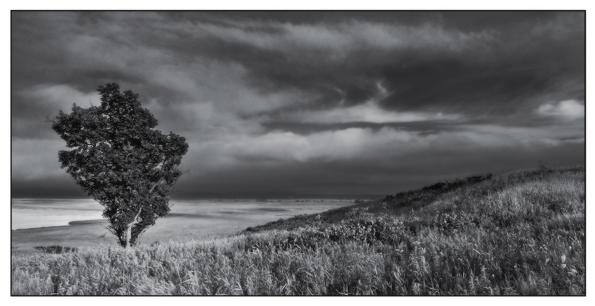 Пейзаж в Ч\Б.