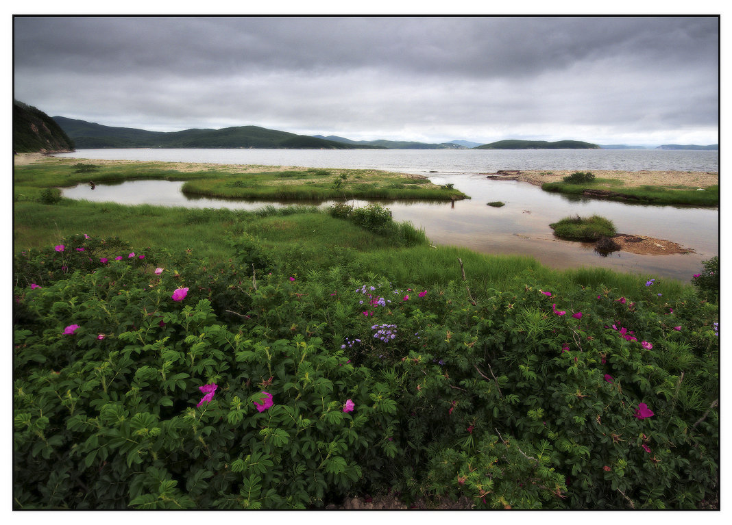 Суровый пейзаж