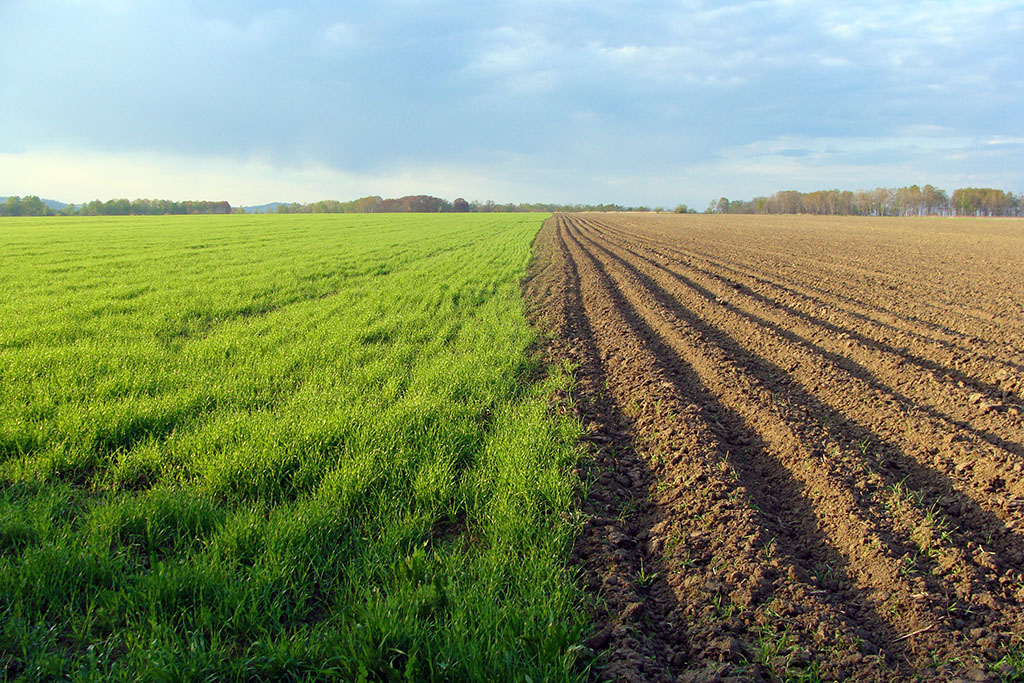 Скоро весна! :)