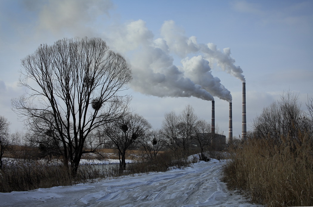 красота с другого бока