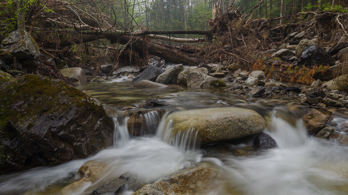 Таежный ключ.Сквозь бурелом.