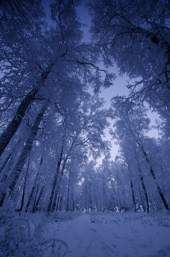 Утро..морозное и чудное..