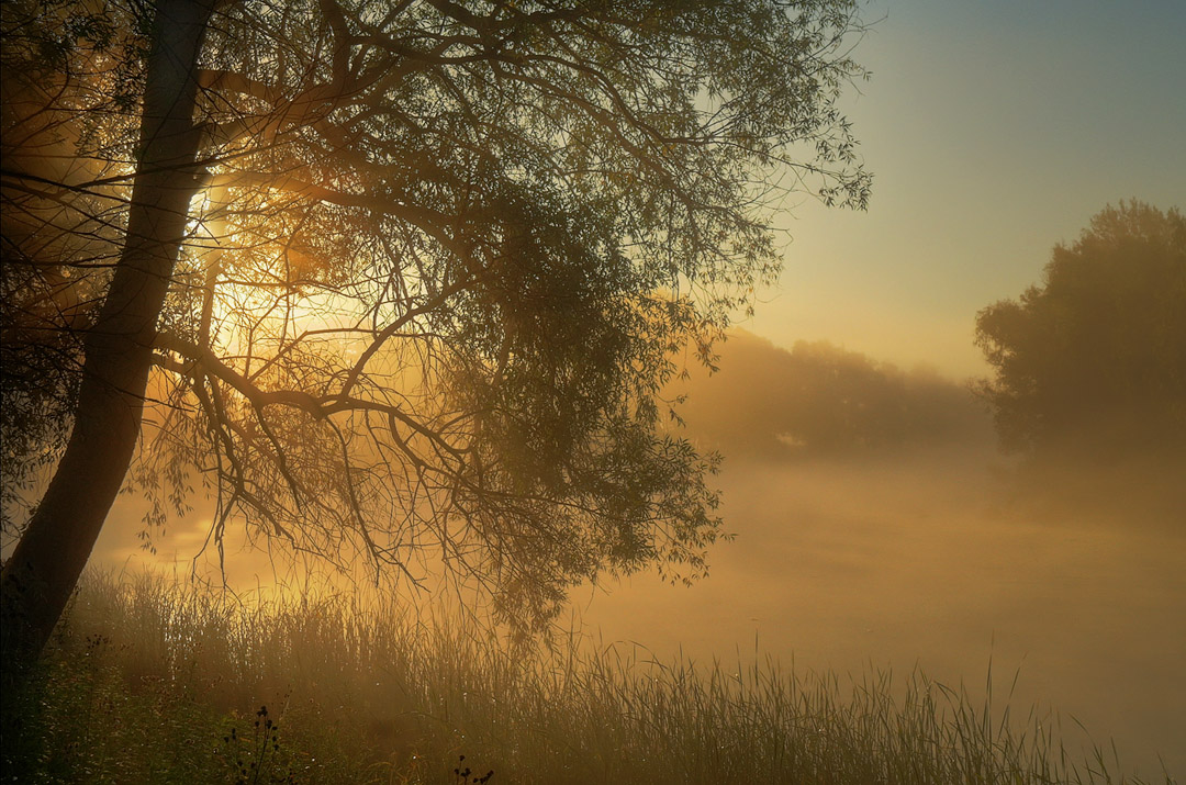 С утренним светом