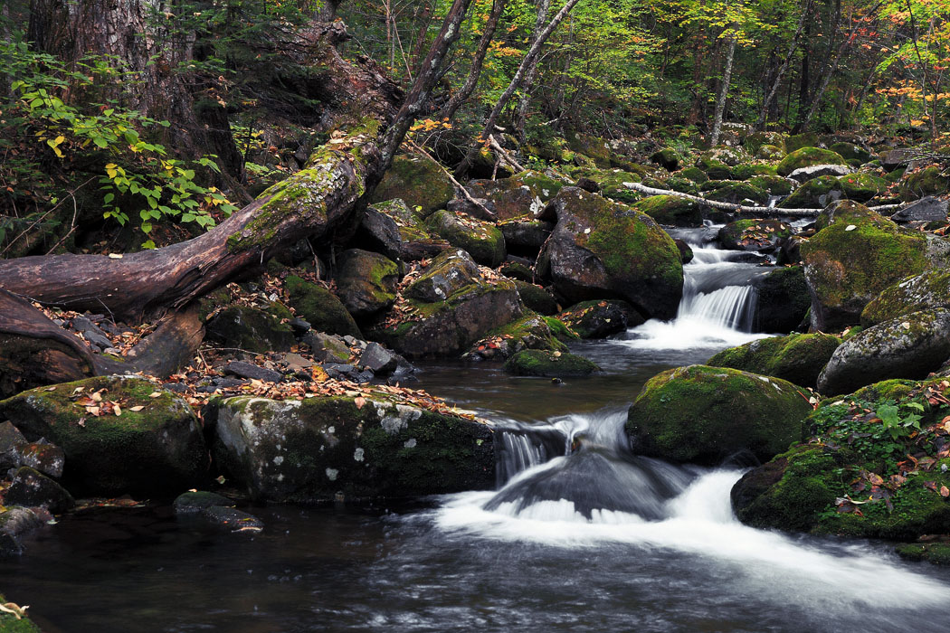 Слышите, как журчит?...