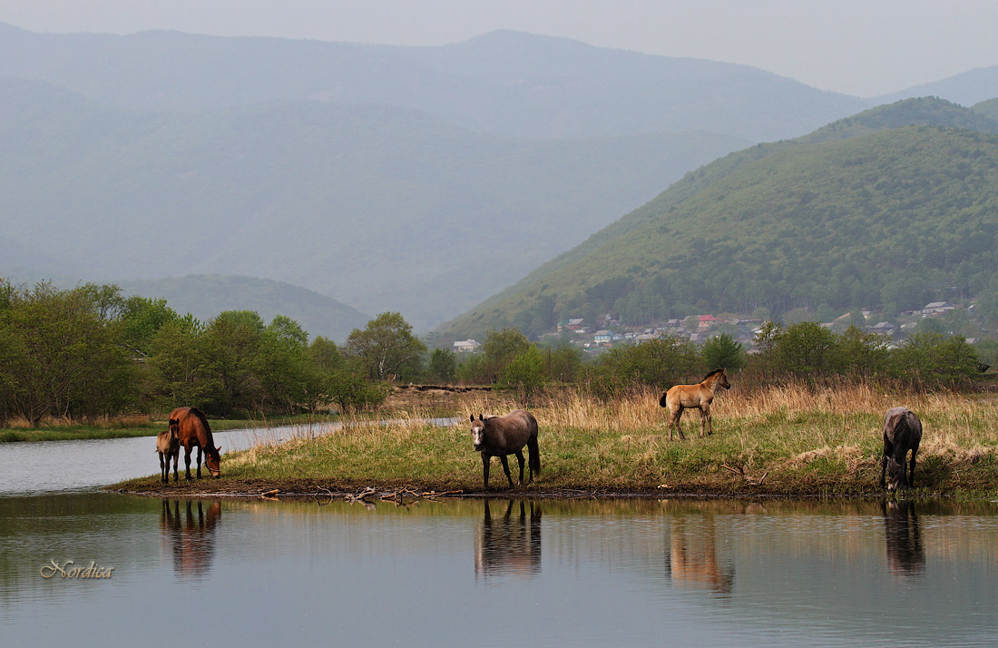 Лето в Тернее