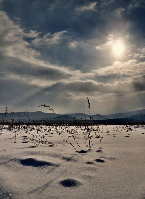 теплый холод