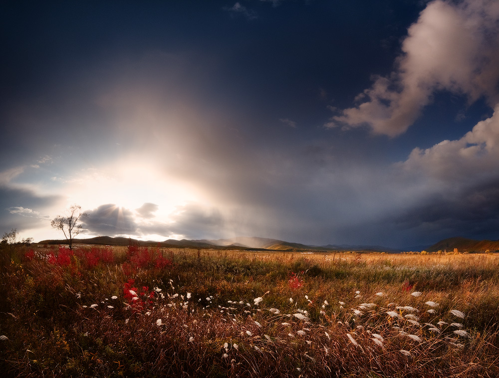 через минуту был дождь...