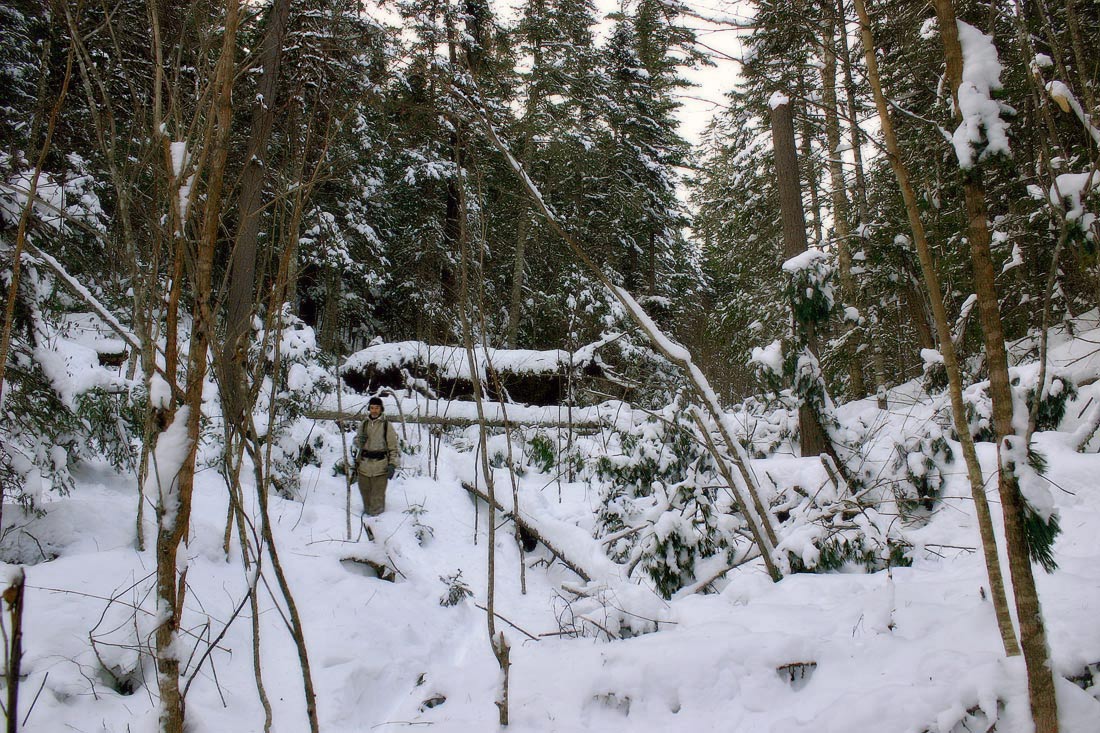 После снегопада