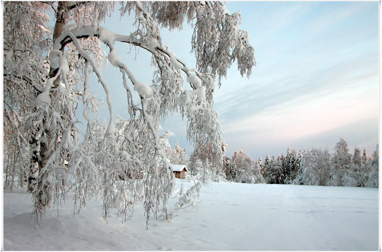 О зиме, о снеге