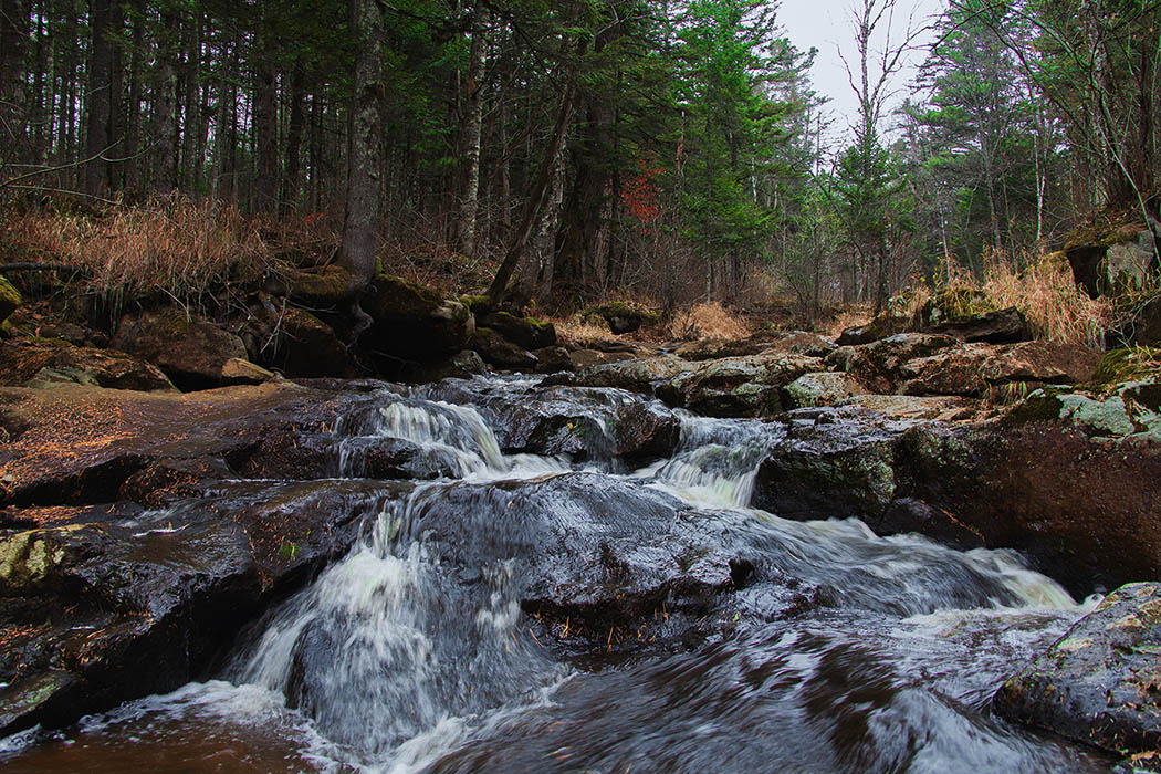 ключ Тигровый
