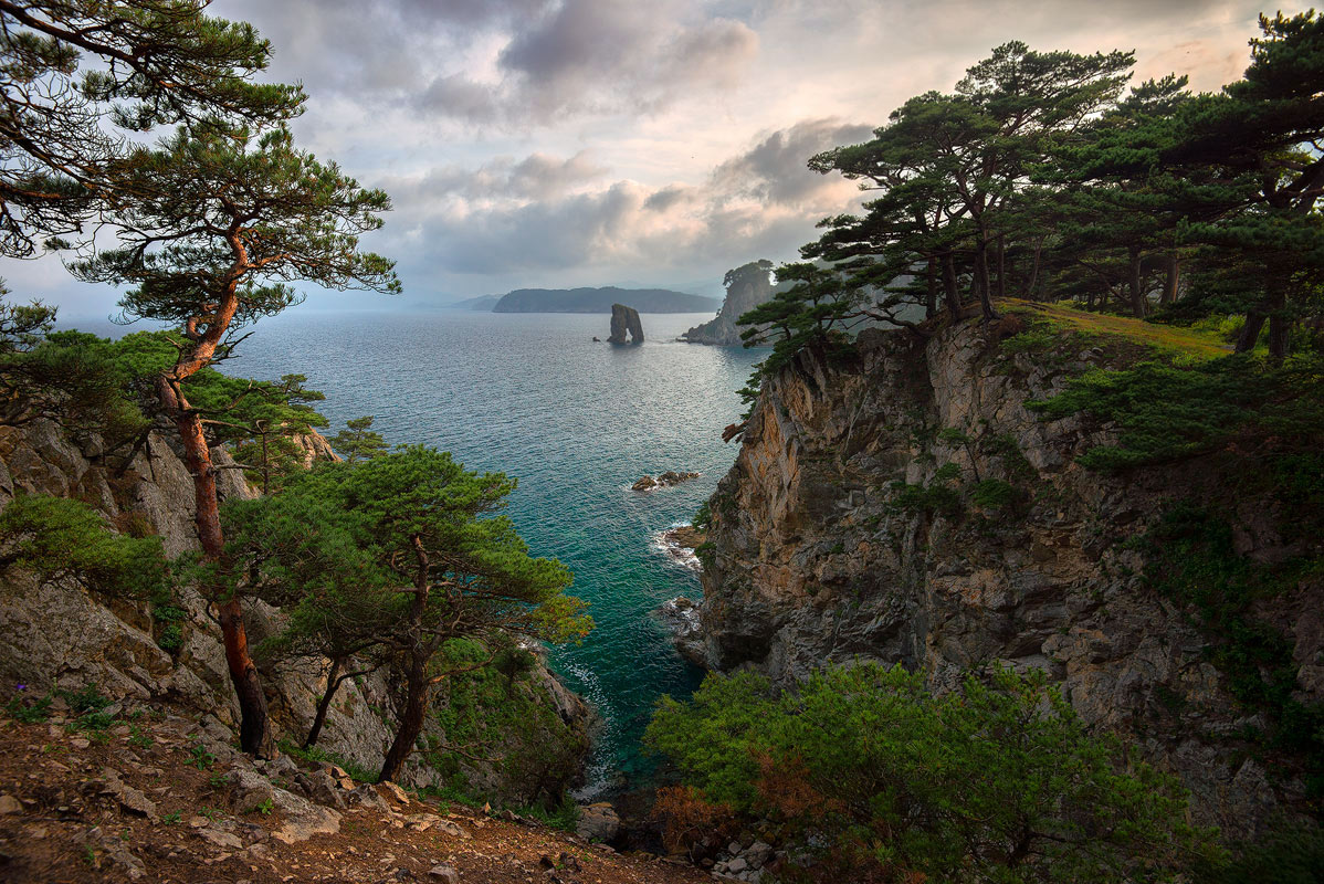 облачные штаны