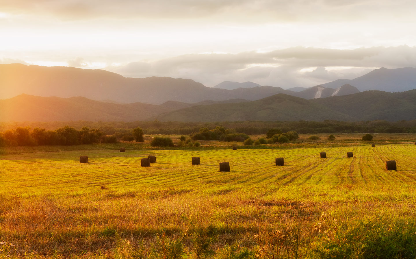 в лучах заката