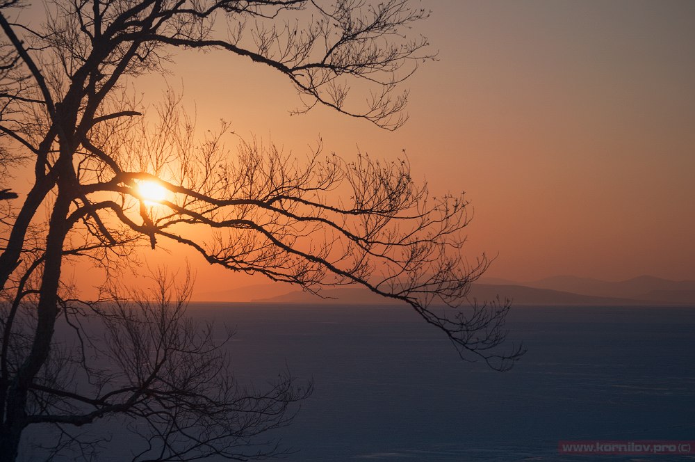 научно популярное