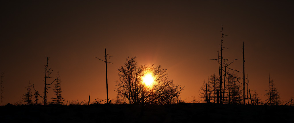 Рассветная...